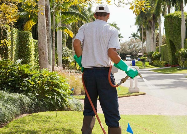 About Nickerson NE Pest Control
